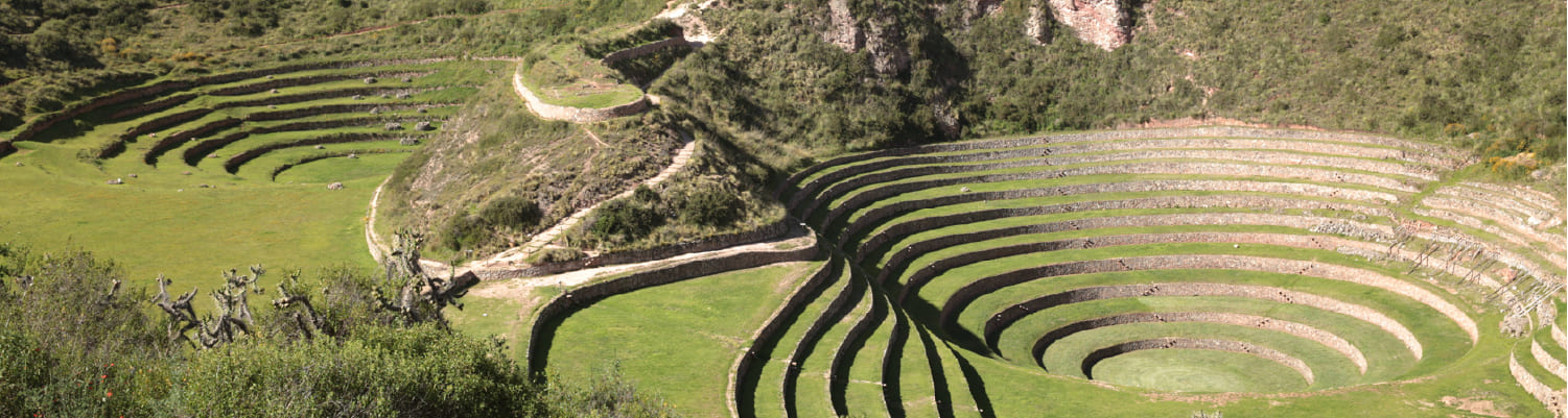 Imagen de presentación